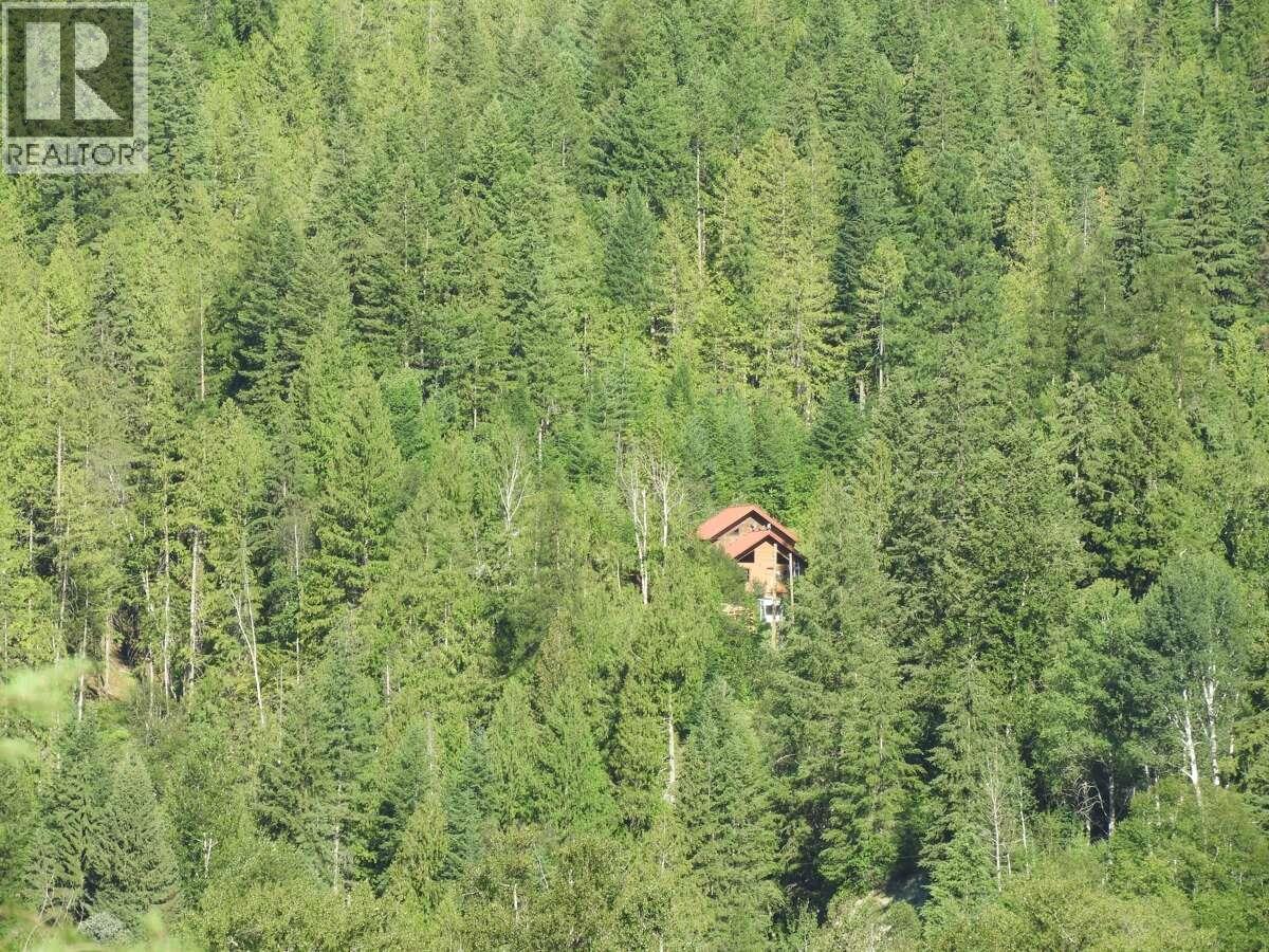 6119 Slocan River Road, Appledale, British Columbia  V0G 2J0 - Photo 2 - 10352161