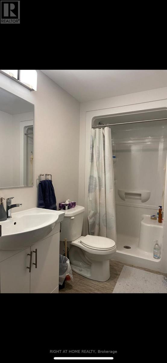 296 (2nd Bedroom) - 258b Sunview Street, Waterloo, Ontario N2L 0H7 - Photo 6 - X13582266