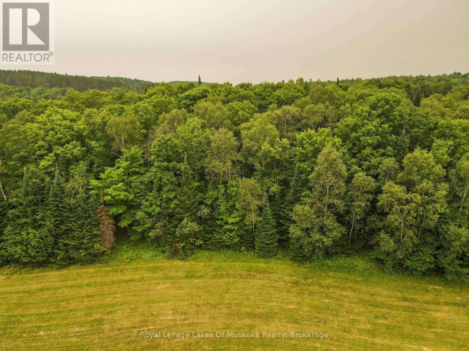 Part 1 - 228 West Browns Road, Huntsville, Ontario  P1H 0A5 - Photo 12 - X13582394