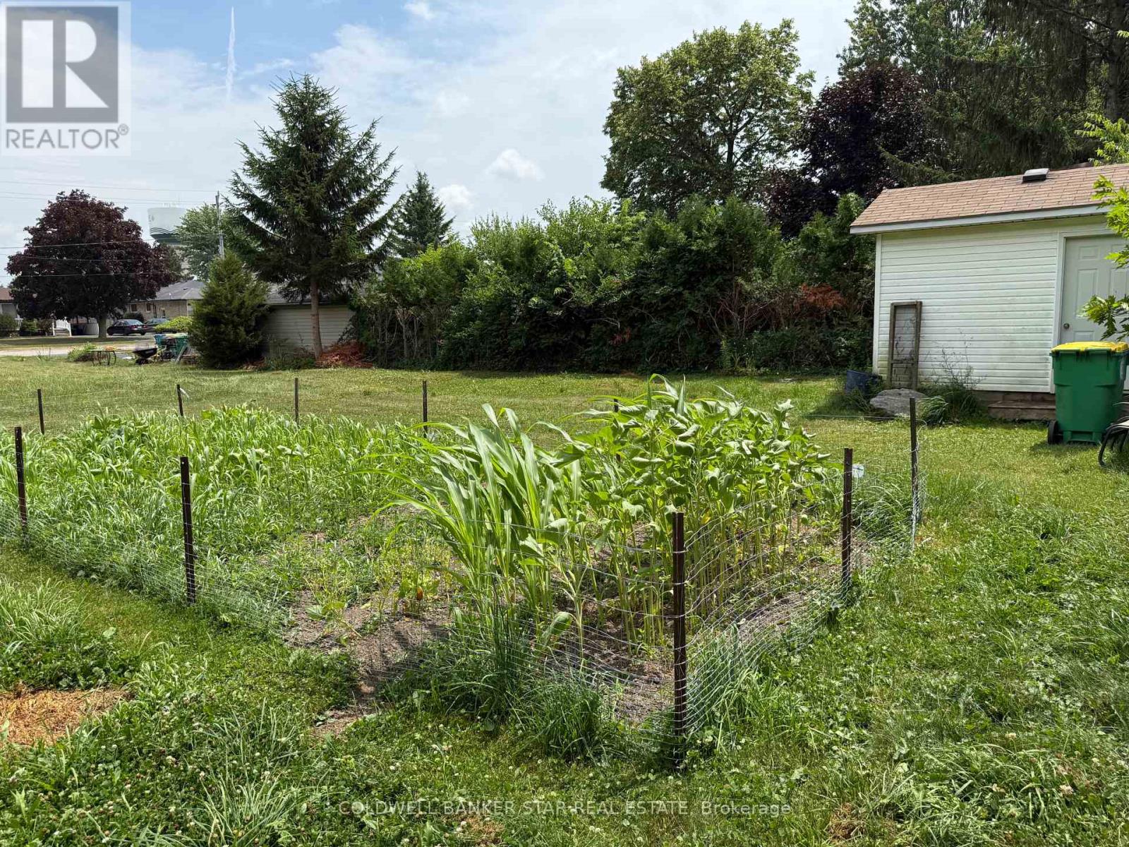 112 Victoria Street, Southwest Middlesex, Ontario N0L 1M0 - Photo 6 - X13582396