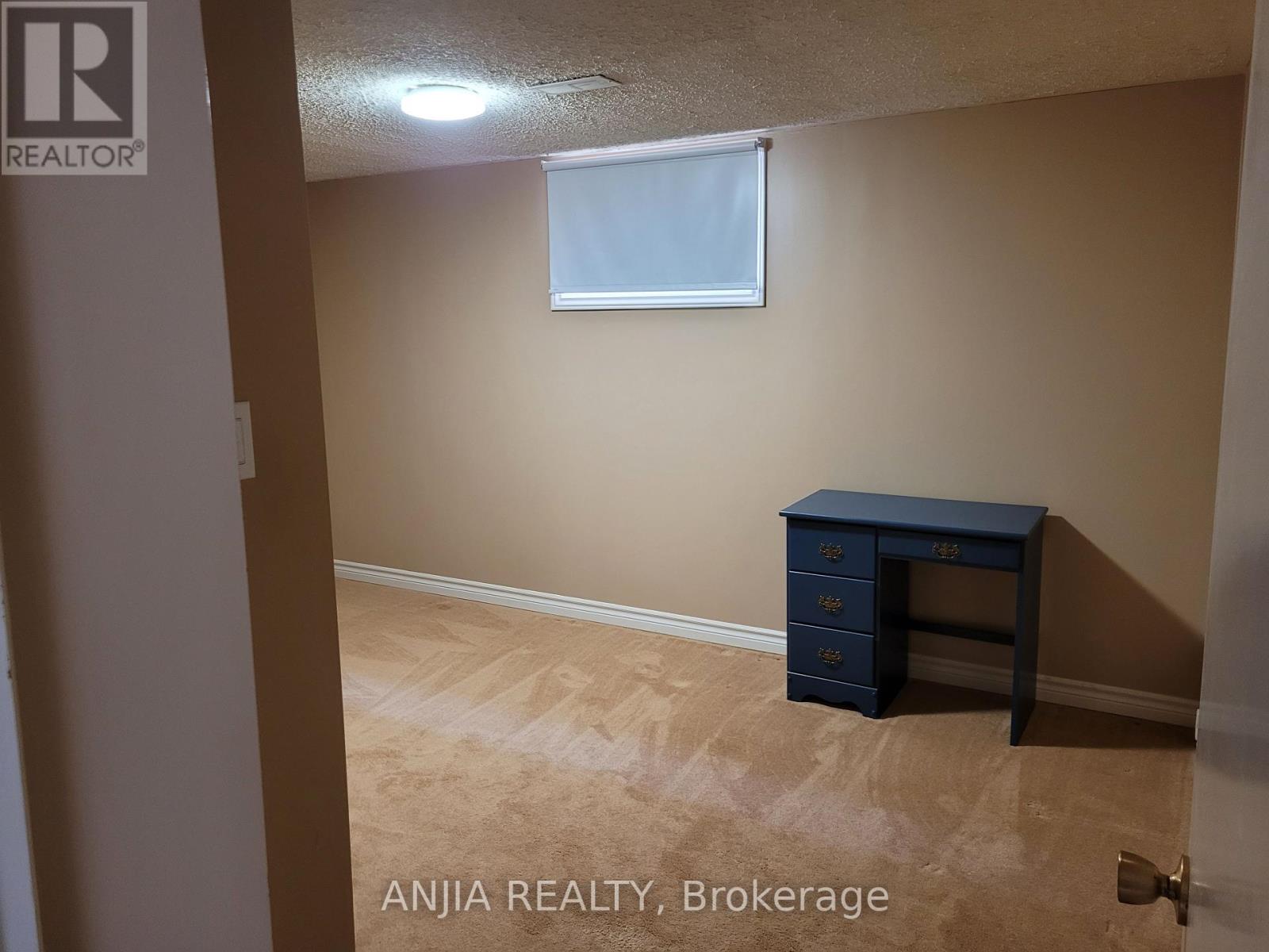 Basement - 1299 Shamir Crescent, Mississauga, Ontario  L5C 1L2 - Photo 8 - W13582432
