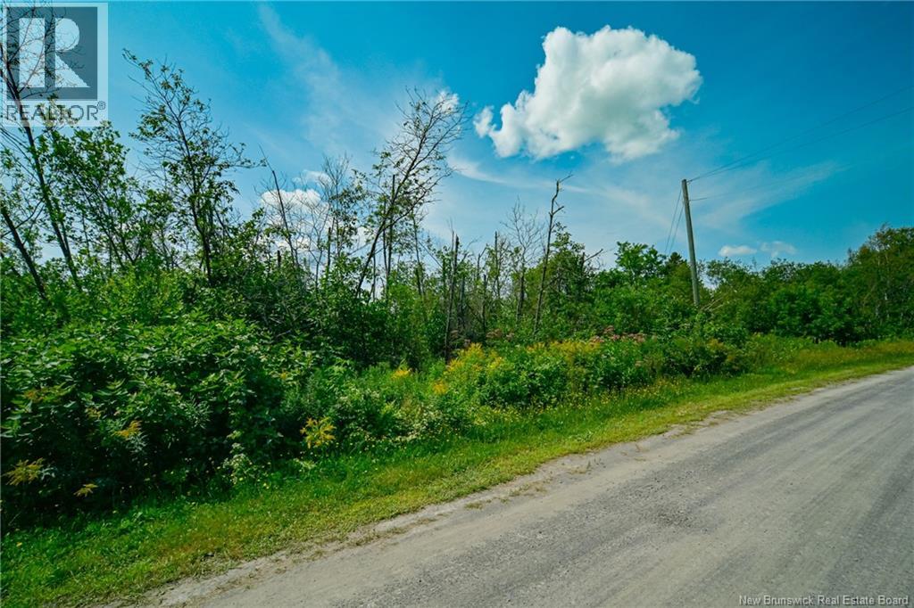 Lot 3 Cnr Road, Saint-Léonard, New Brunswick  E7E 1Z4 - Photo 6 - NB130565