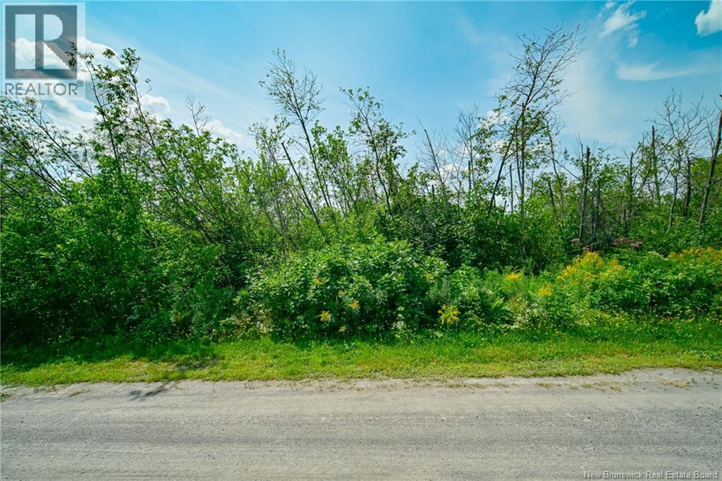 Lot 2,3 & 4 Cnr Road, Saint-Léonard, New Brunswick  E7E 1Z4 - Photo 2 - NB130567