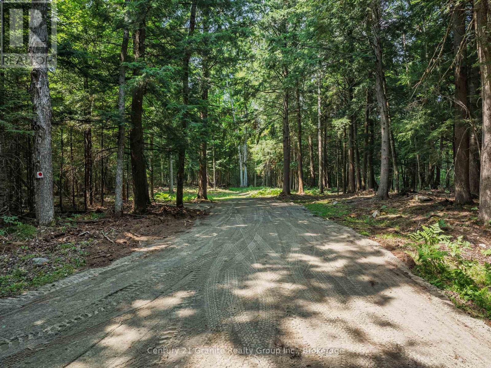 0 Soyers Lake Road, Dysart Et Al, Ontario  K0M 1S0 - Photo 10 - X13582586