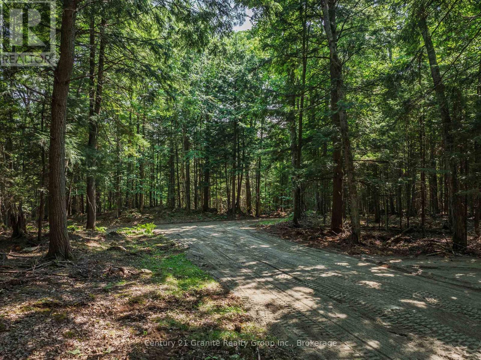 0 Soyers Lake Road, Dysart Et Al, Ontario  K0M 1S0 - Photo 11 - X13582586