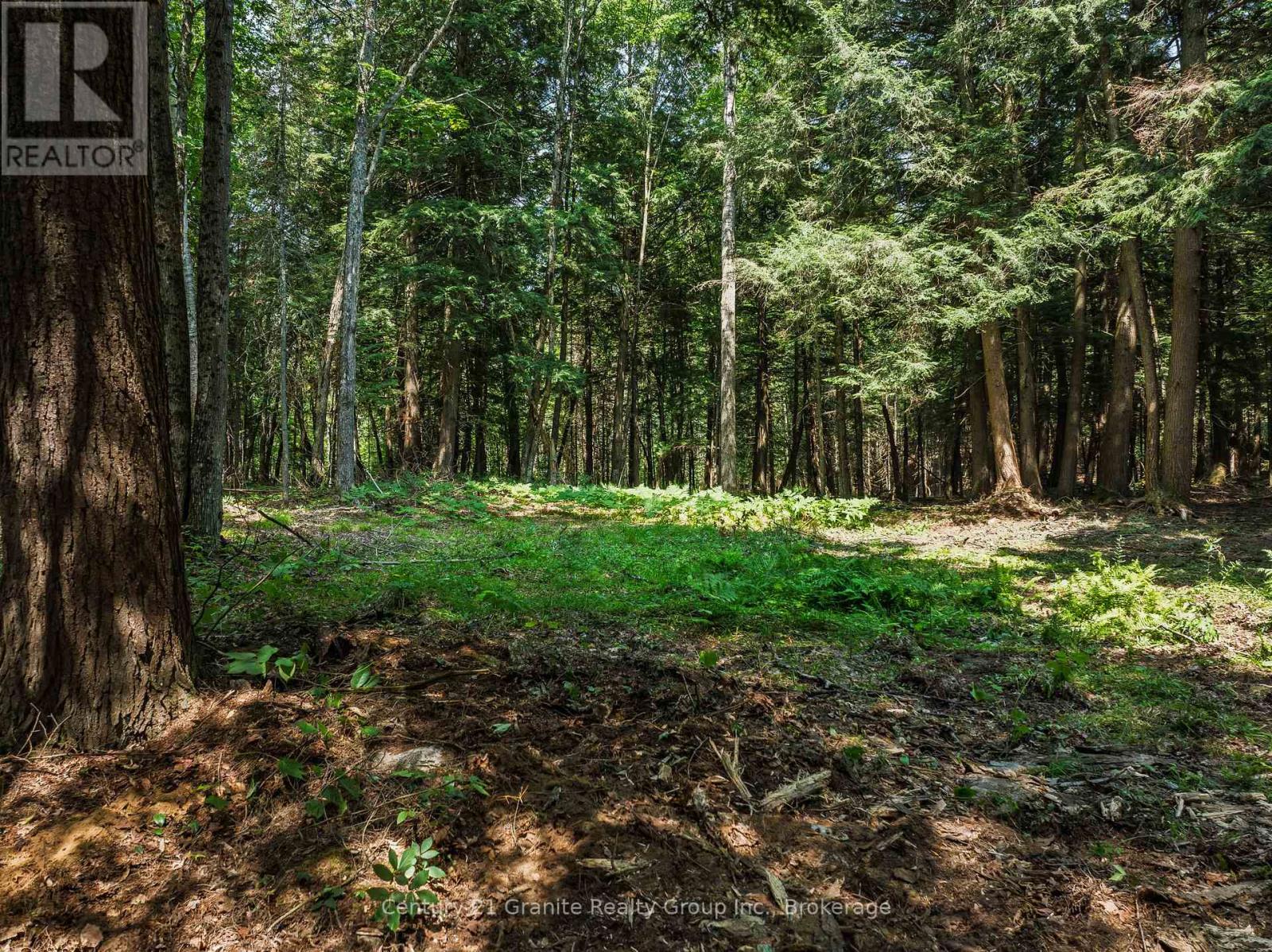 0 Soyers Lake Road, Dysart Et Al, Ontario  K0M 1S0 - Photo 6 - X13582586