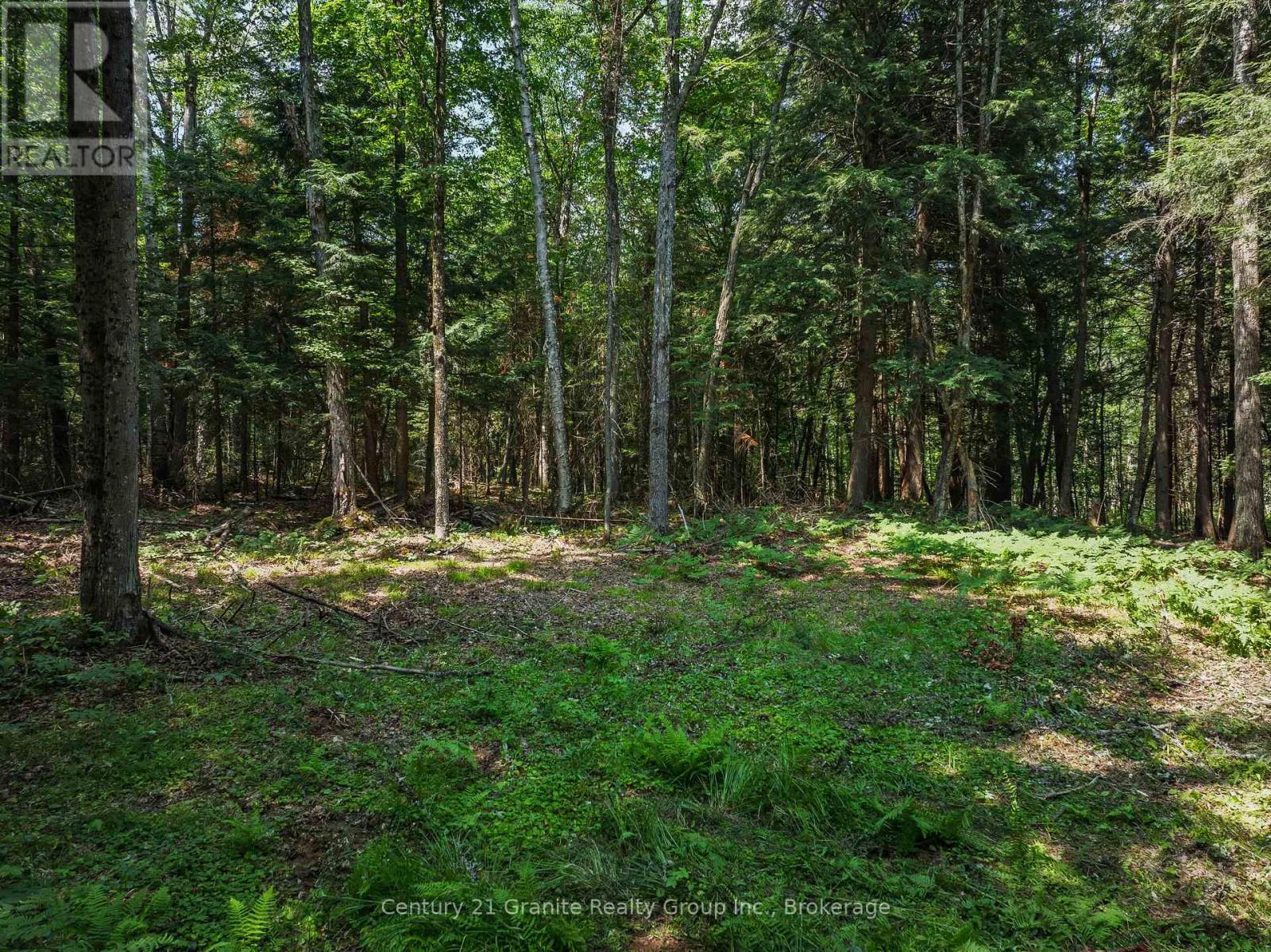 0 Soyers Lake Road, Dysart Et Al, Ontario  K0M 1S0 - Photo 7 - X13582586