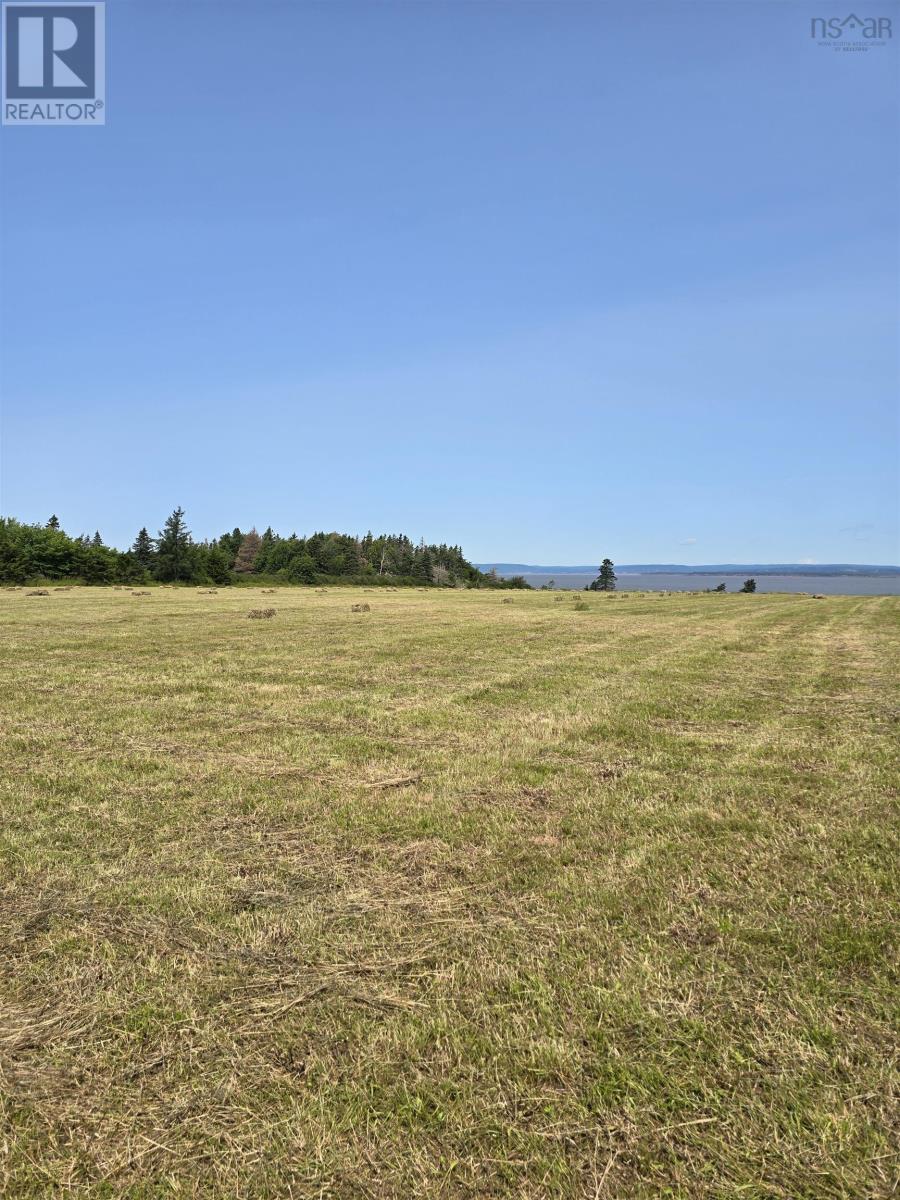 2971 Highway 215, Moose Brook, Nova Scotia B0N 2R0 - Photo 11 - 202603962
