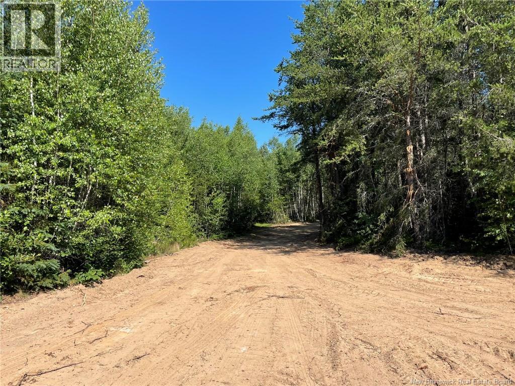 Lot Richard Hill Road, Shediac Bridge, New Brunswick E4R 3M5 - Photo 2 - NB144343