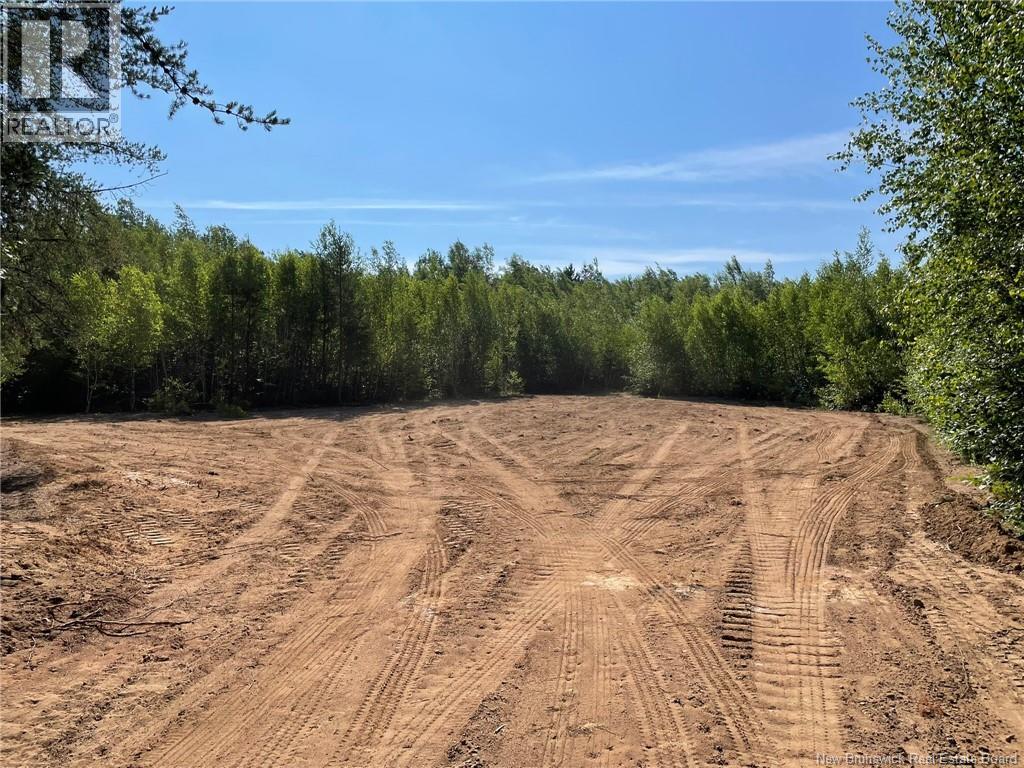 Lot Richard Hill Road, Shediac Bridge, New Brunswick E4R 3M5 - Photo 3 - NB144343