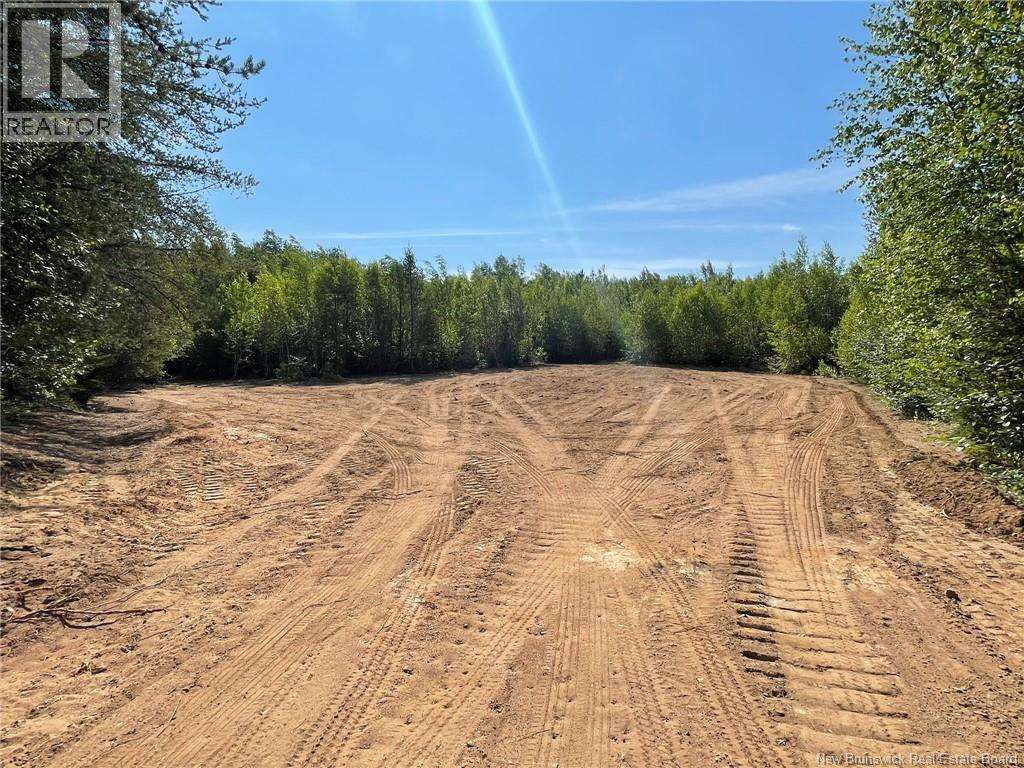 Lot Richard Hill Road, Shediac Bridge, New Brunswick E4R 3M5 - Photo 4 - NB144343