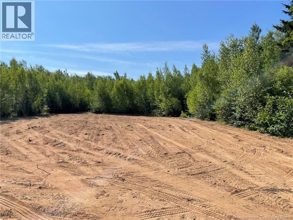 Lot Richard Hill Road, Shediac Bridge, New Brunswick E4R 3M5 - Photo 5 - NB144343