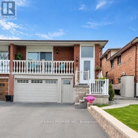 BASEMENT - 33 ALBANY DRIVE, Vaughan, Ontario