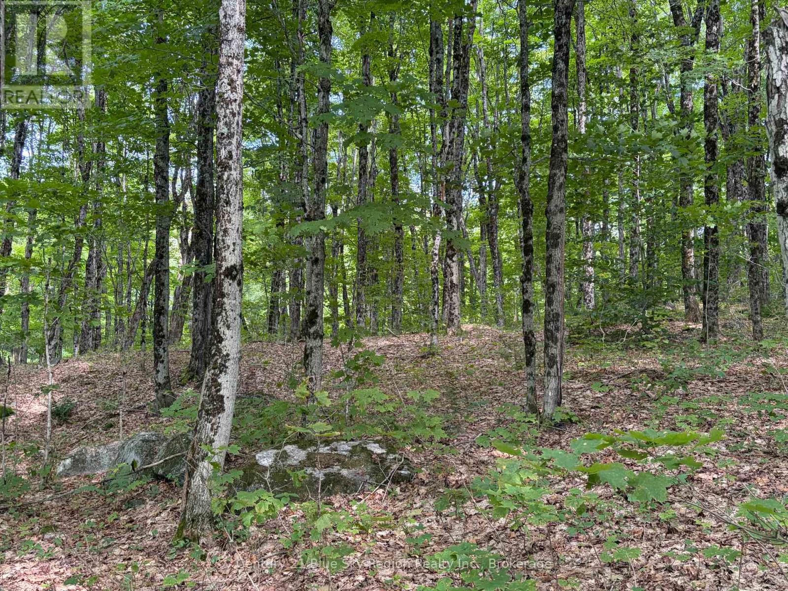 Part Lot 11 & 12 Chikopi Road, Magnetawan, Ontario P0A 1P0 - Photo 1 - X13582856