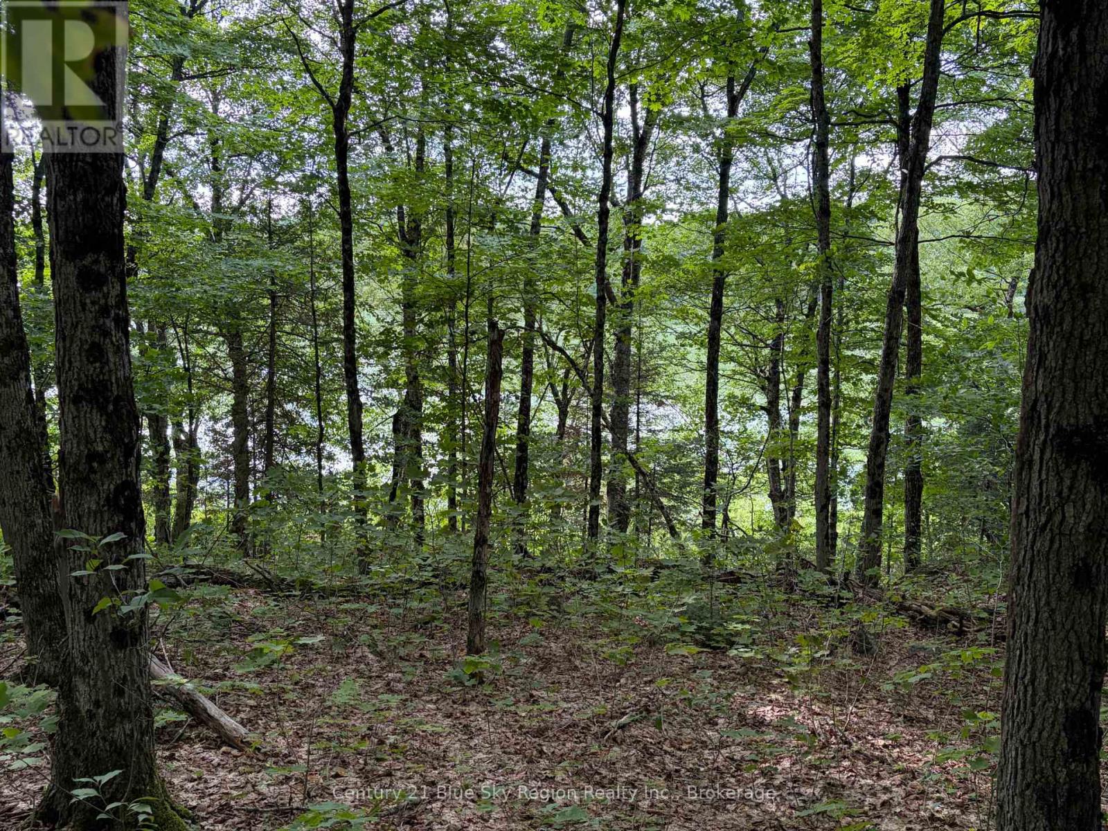 Part Lot 11 & 12 Chikopi Road, Magnetawan, Ontario P0A 1P0 - Photo 2 - X13582856