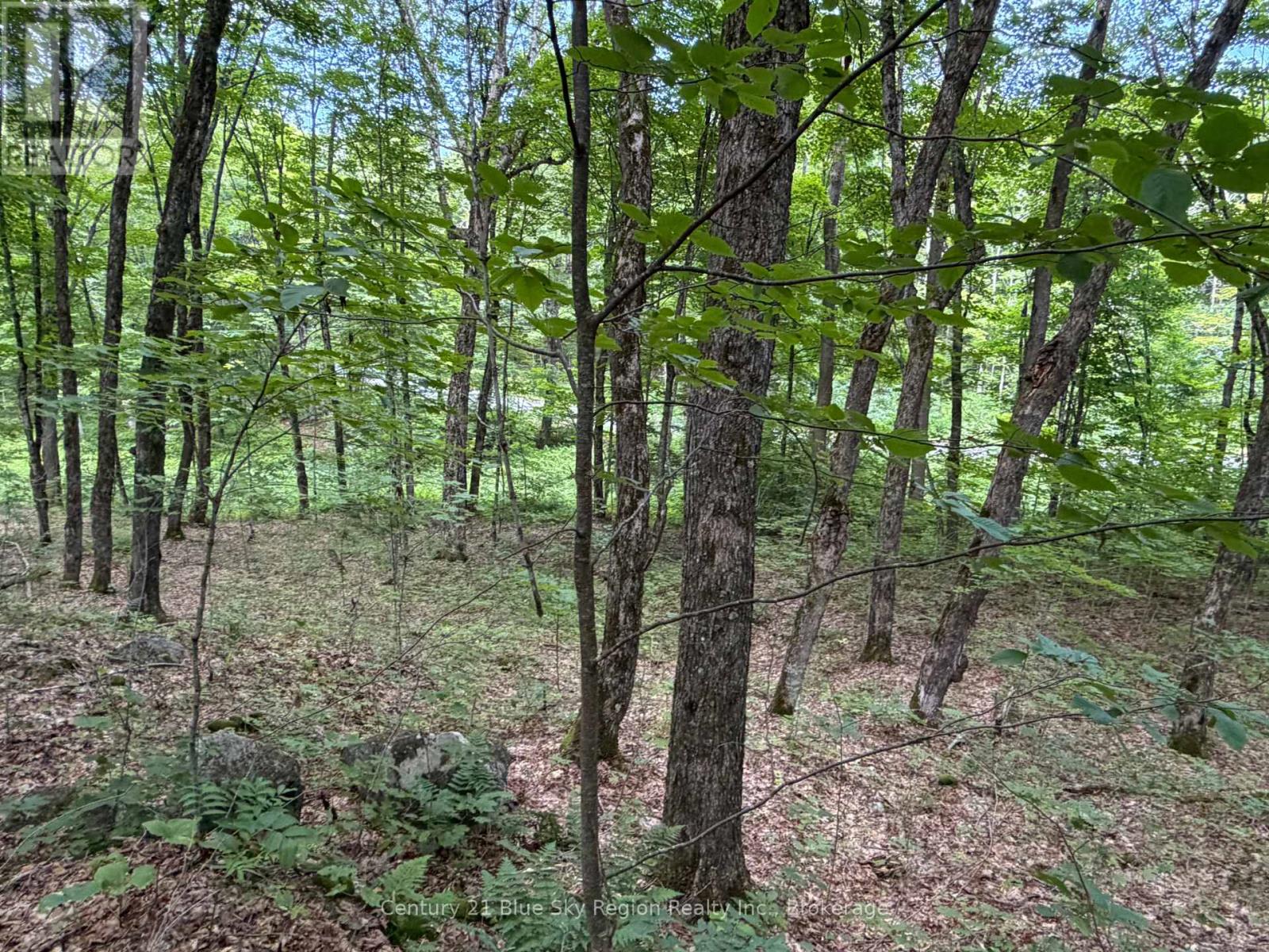 Part Lot 11 & 12 Chikopi Road, Magnetawan, Ontario P0A 1P0 - Photo 6 - X13582856