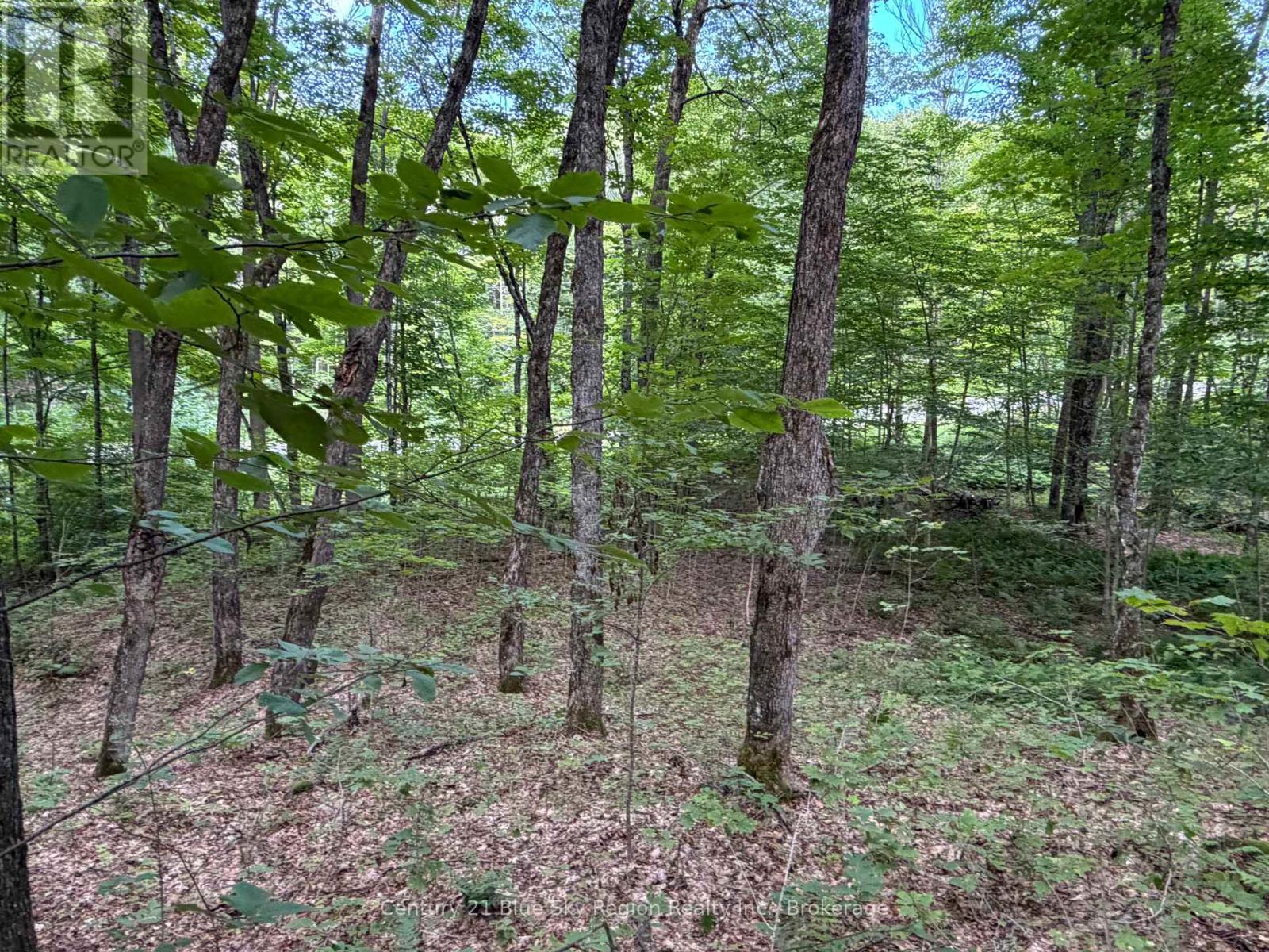 Part Lot 11 & 12 Chikopi Road, Magnetawan, Ontario P0A 1P0 - Photo 8 - X13582856