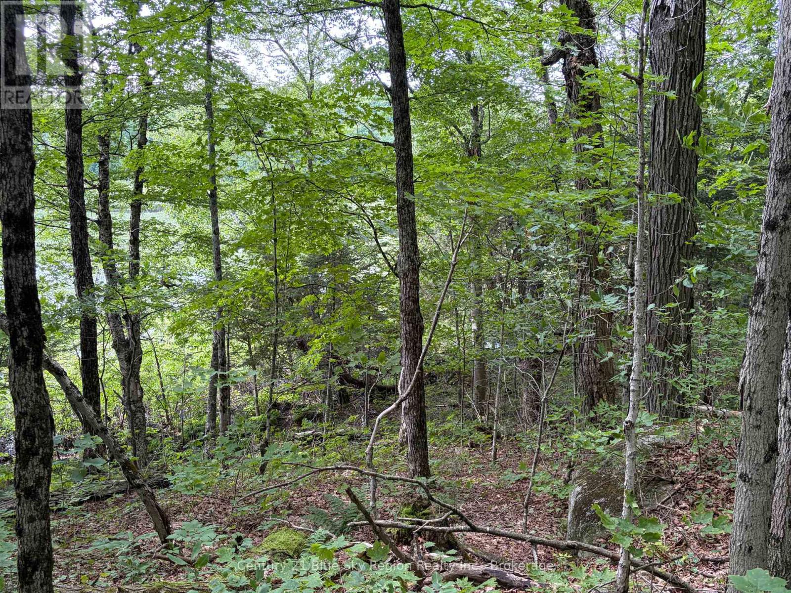 Part Lot 11 & 12 Chikopi Road, Magnetawan, Ontario P0A 1P0 - Photo 9 - X13582856