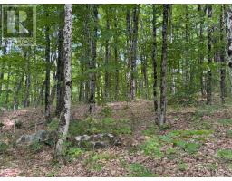 PART LOT 11 & 12 CHIKOPI ROAD, Magnetawan, Ontario