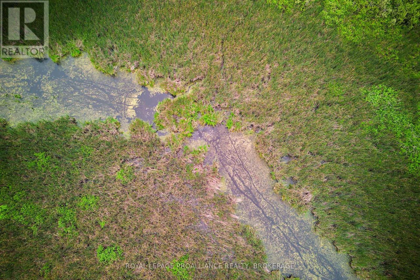 68 3rd Concession Road, Loyalist, Ontario  K0H 2S0 - Photo 17 - X13174454