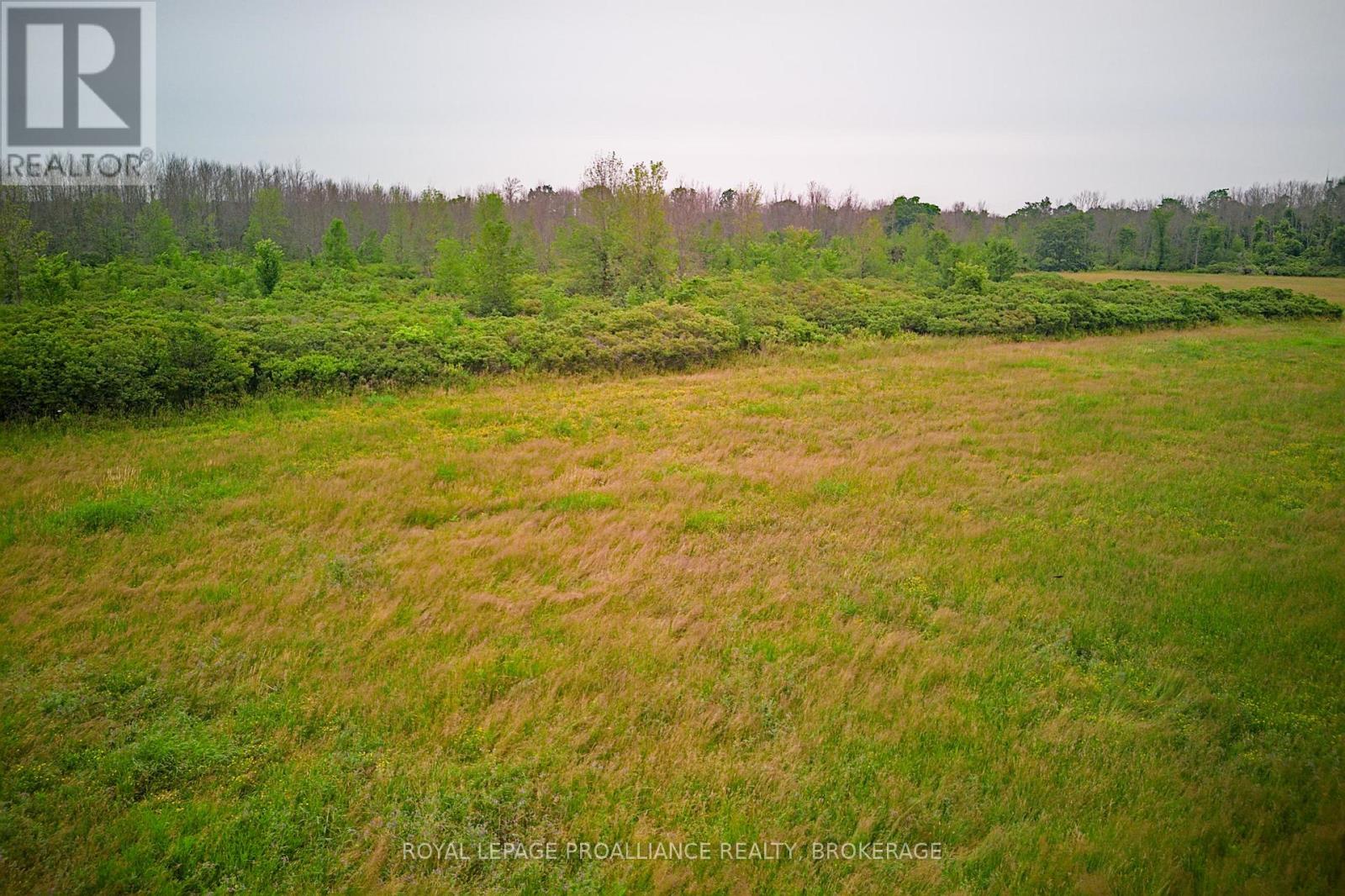 68 3rd Concession Road, Loyalist, Ontario  K0H 2S0 - Photo 10 - X13174454