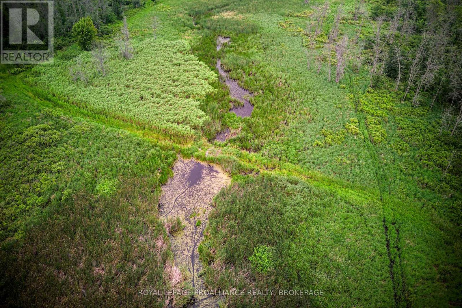 68 3rd Concession Road, Loyalist, Ontario  K0H 2S0 - Photo 13 - X13174454