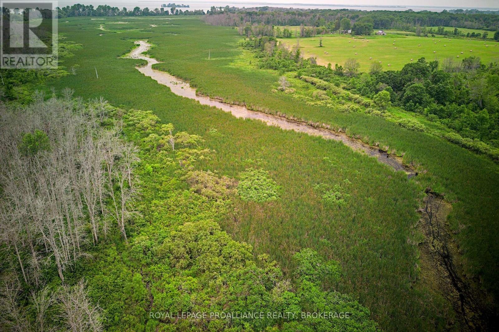 68 3rd Concession Road, Loyalist, Ontario  K0H 2S0 - Photo 12 - X13174454