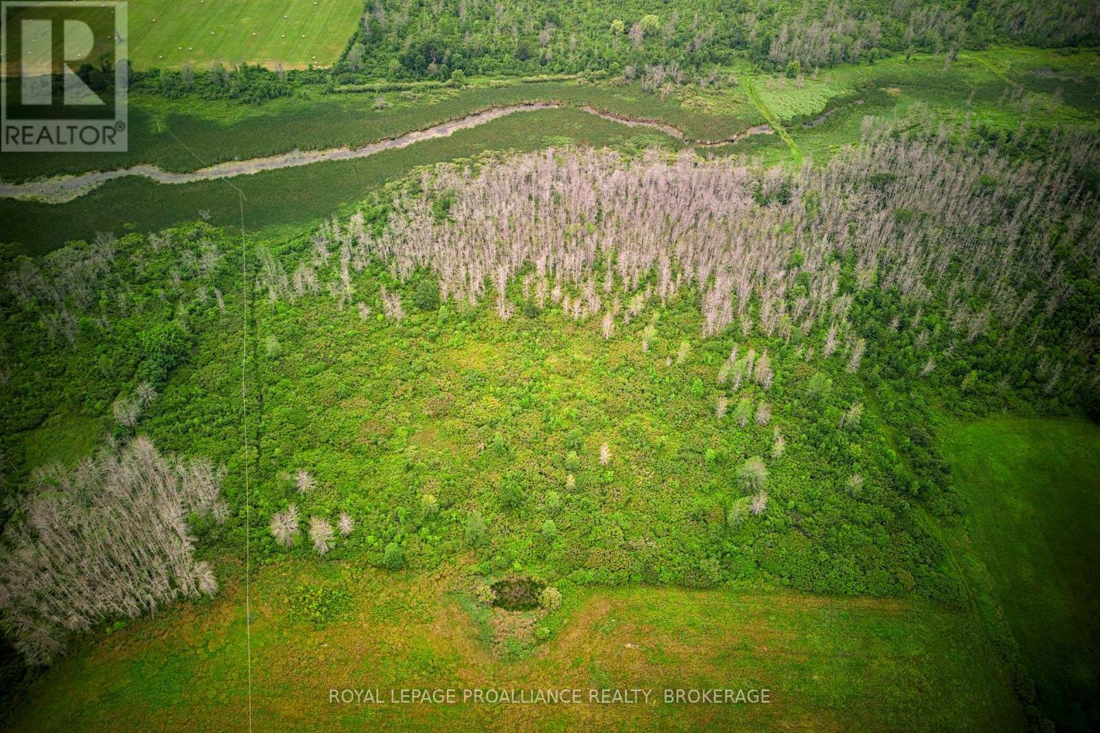 68 3rd Concession Road, Loyalist, Ontario  K0H 2S0 - Photo 6 - X13174454