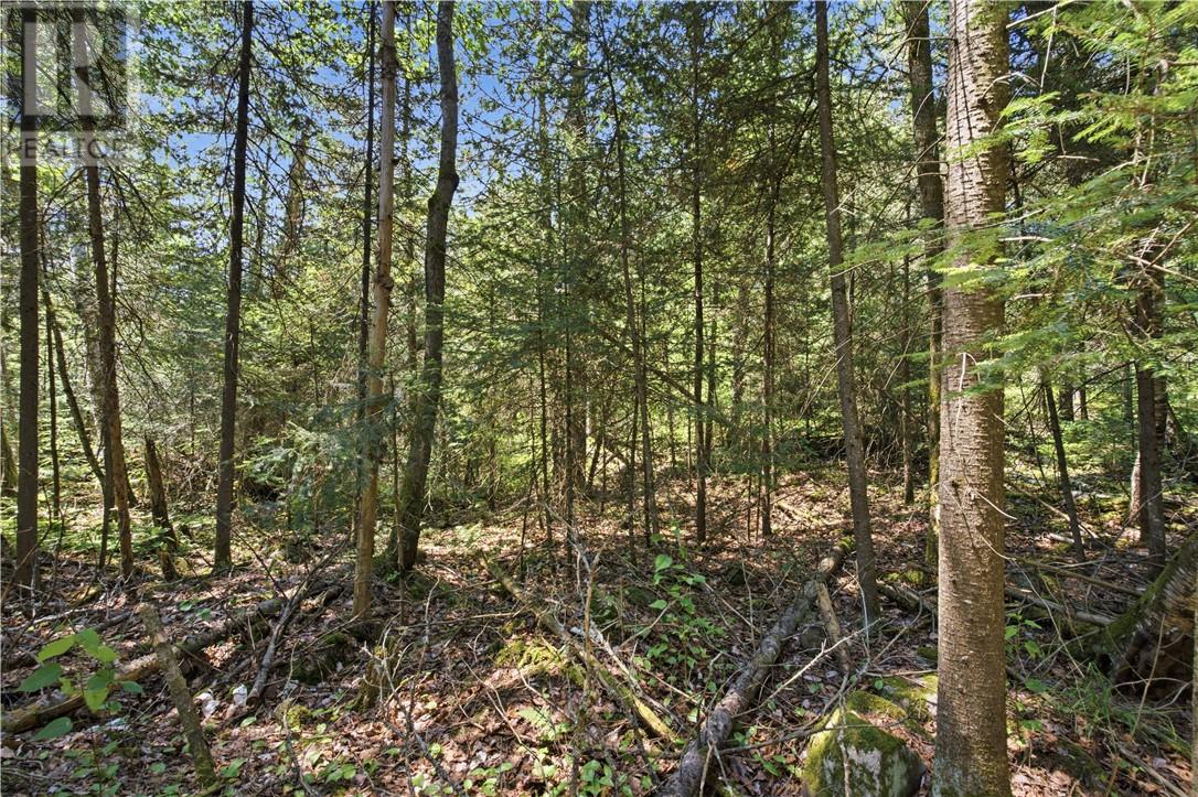 Pt 4 Norland, Verner, Ontario  P0H 2M0 - Photo 4 - 2126764