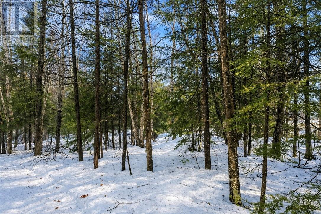 Pt 4 Norland, Verner, Ontario  P0H 2M0 - Photo 21 - 2126764