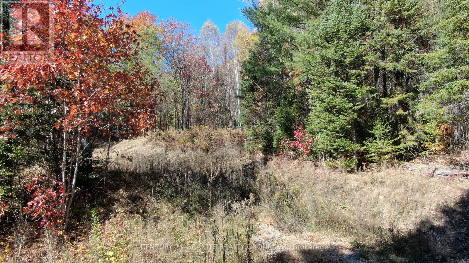 178 Gaebel Road, Bancroft (Bancroft Ward), Ontario  K0L 1C0 - Photo 14 - X13583412