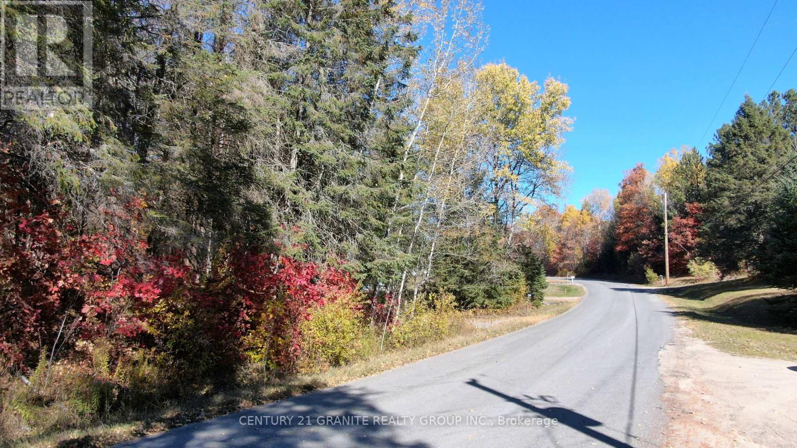 178 Gaebel Road, Bancroft (Bancroft Ward), Ontario  K0L 1C0 - Photo 15 - X13583412