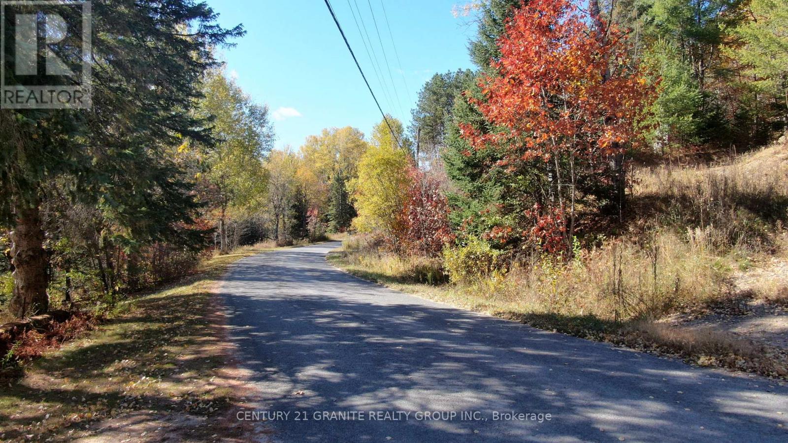 178 Gaebel Road, Bancroft (Bancroft Ward), Ontario  K0L 1C0 - Photo 16 - X13583412