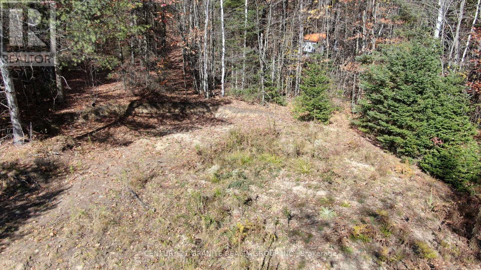 178 Gaebel Road, Bancroft (Bancroft Ward), Ontario  K0L 1C0 - Photo 5 - X13583412