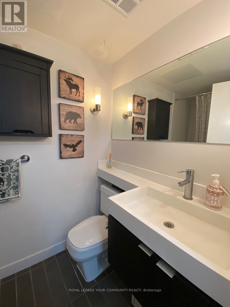 315 - 4k Spadina Avenue, Toronto, Ontario  M5V 3Y9 - Photo 7 - C13582718
