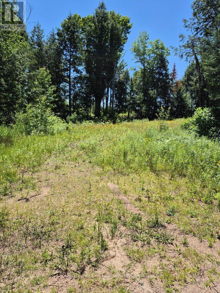 Lot 18 North Steenburg Lake Road, Wollaston, Ontario  K0L 1P0 - Photo 1 - X13583774