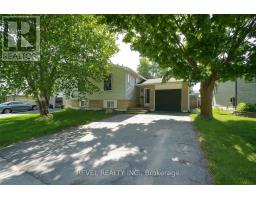 BASEMENT - 64 BRENDA BOULEVARD, Orangeville, Ontario