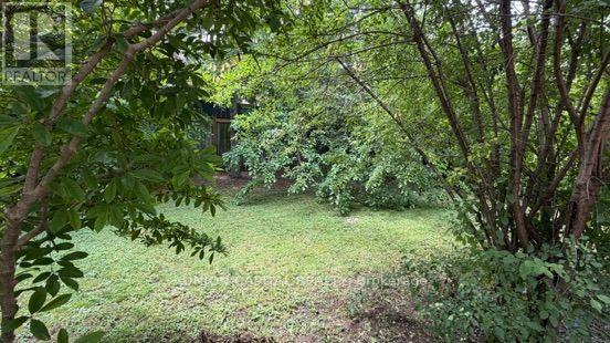 465 Hounslow Avenue, Toronto, Ontario  M2R 1H8 - Photo 22 - C13584078