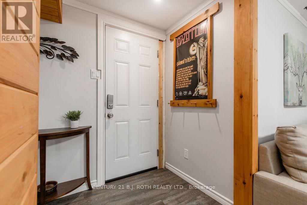 Lower Level - 243 Wellington Street E, Barrie, Ontario L4M 2E4 - Photo 6 - S13584010