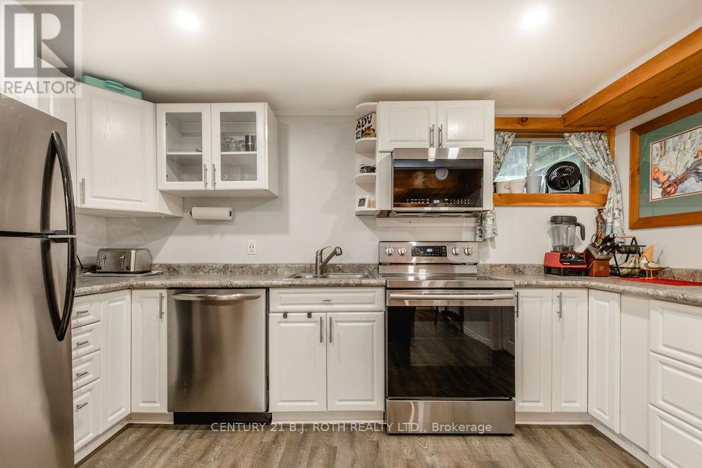 Lower Level - 243 Wellington Street E, Barrie, Ontario L4M 2E4 - Photo 8 - S13584010