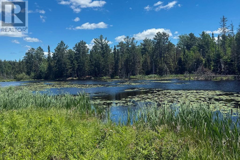 58 Blaffert, Wahnapitae, Ontario  P0M 3C0 - Photo 30 - 2129185