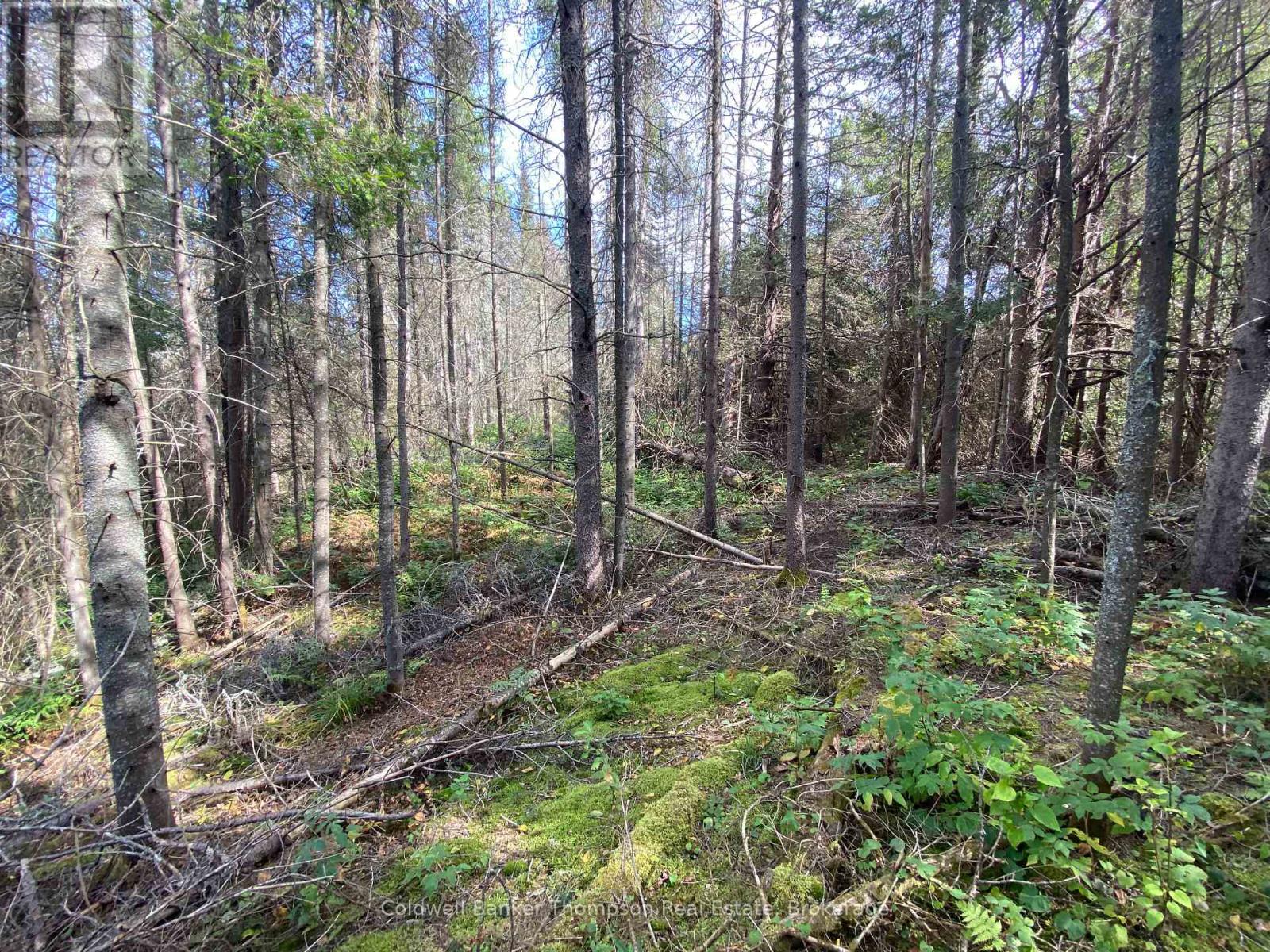 0 Municipal Road N, Machar, Ontario P0A 1X0 - Photo 2 - X13584356