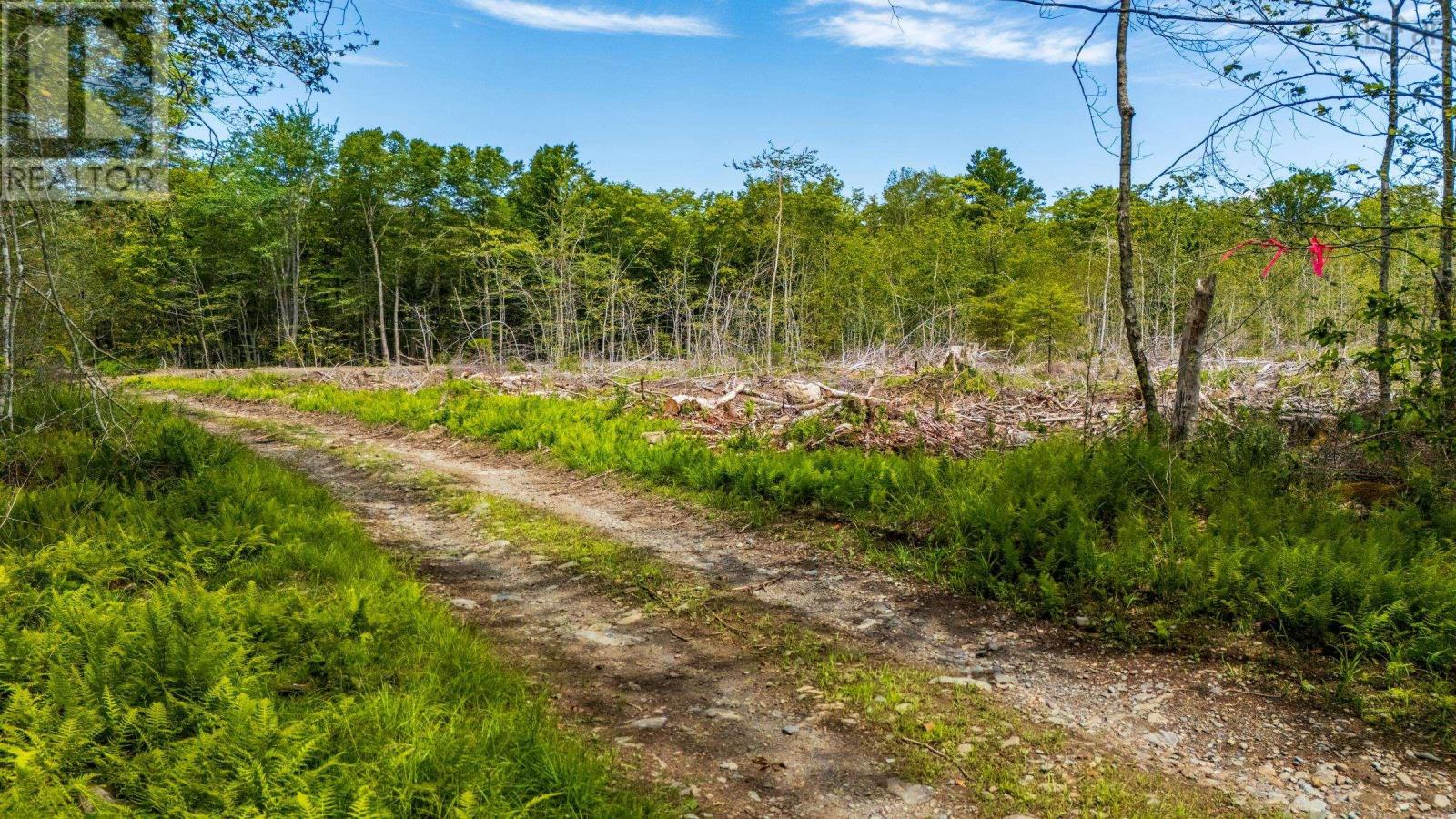 508 East Concession Road, Concession, Nova Scotia  B0W 1M0 - Photo 17 - 202618037