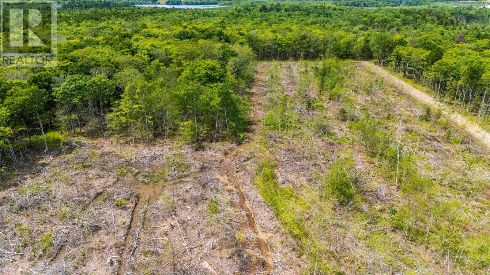 508 East Concession Road, Concession, Nova Scotia  B0W 1M0 - Photo 6 - 202618037