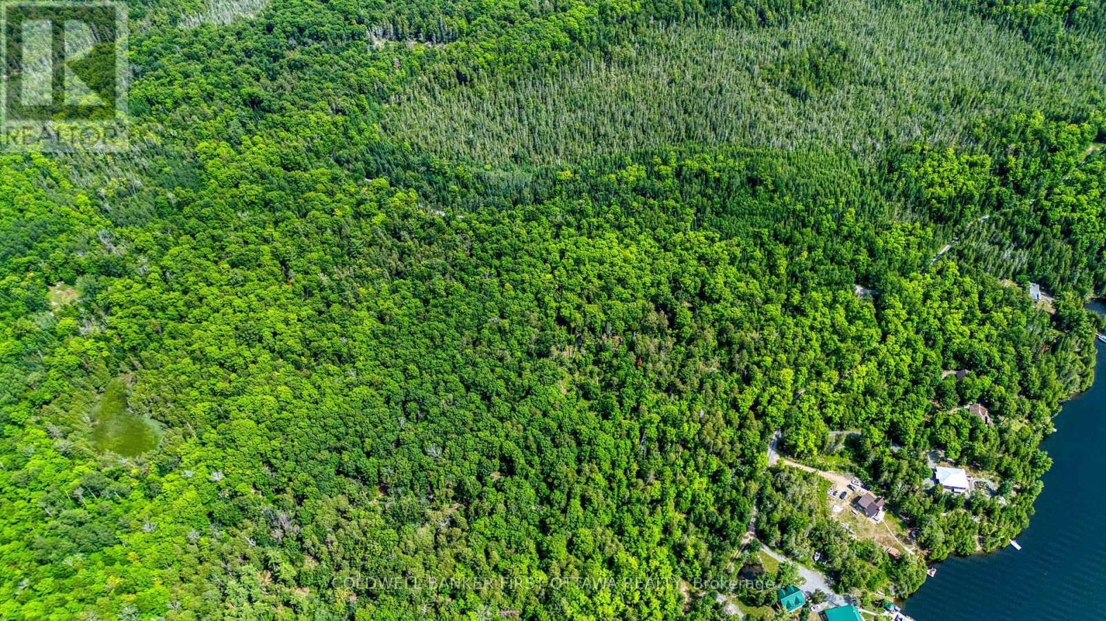 00 Windy Point Road, Lanark Highlands, Ontario  K0A 3L0 - Photo 6 - X13584448