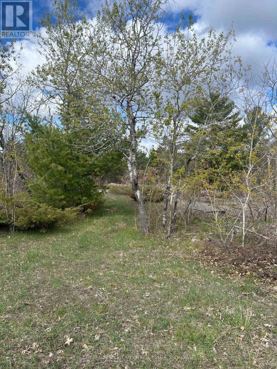0 Dwyer Lane, Frontenac, Ontario K0K 1Z0 - Photo 6 - X13584462