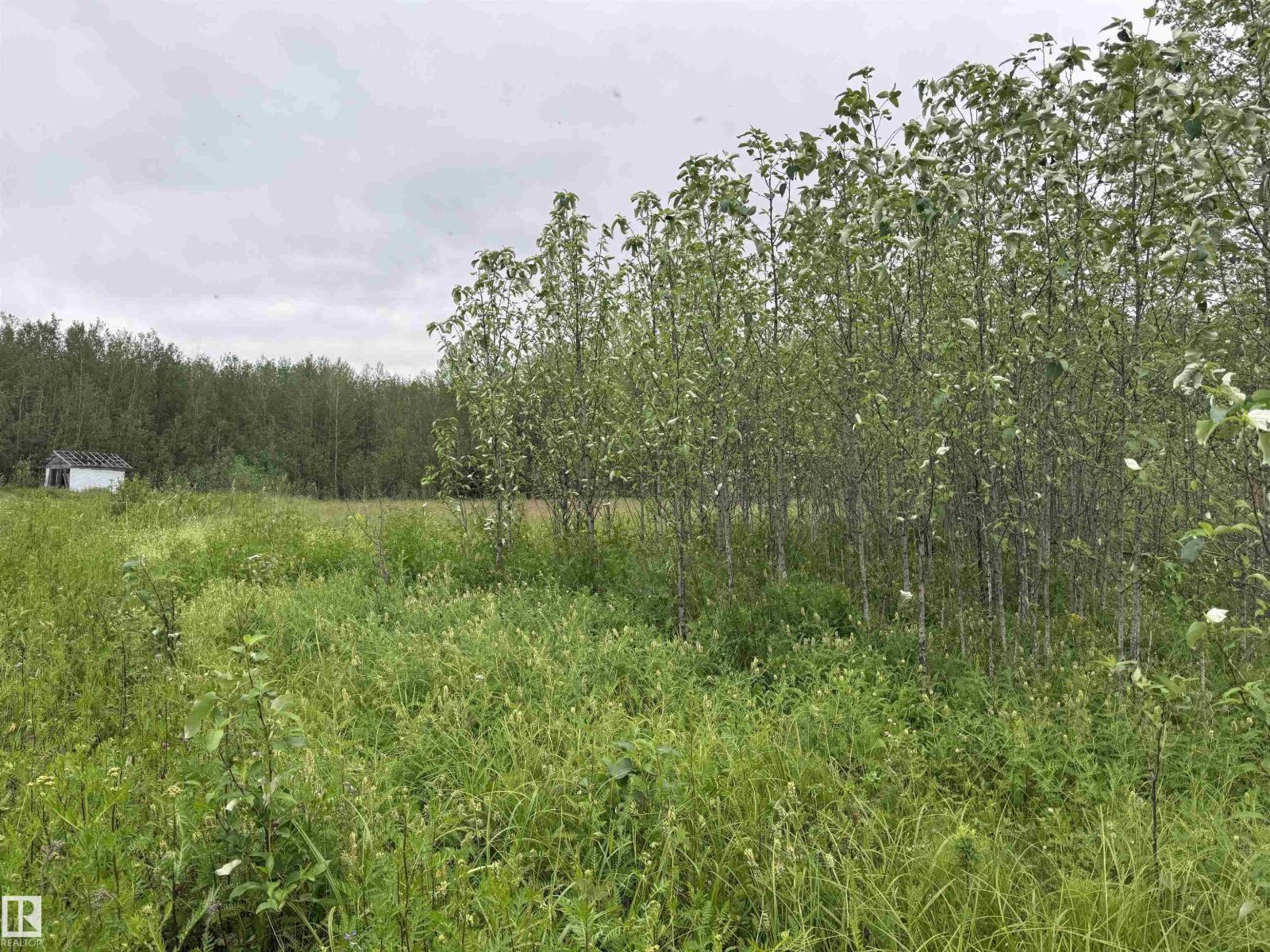 25418 Twp Rd 634a, Rural Westlock County, Alberta  T0G 0S0 - Photo 5 - E4499810