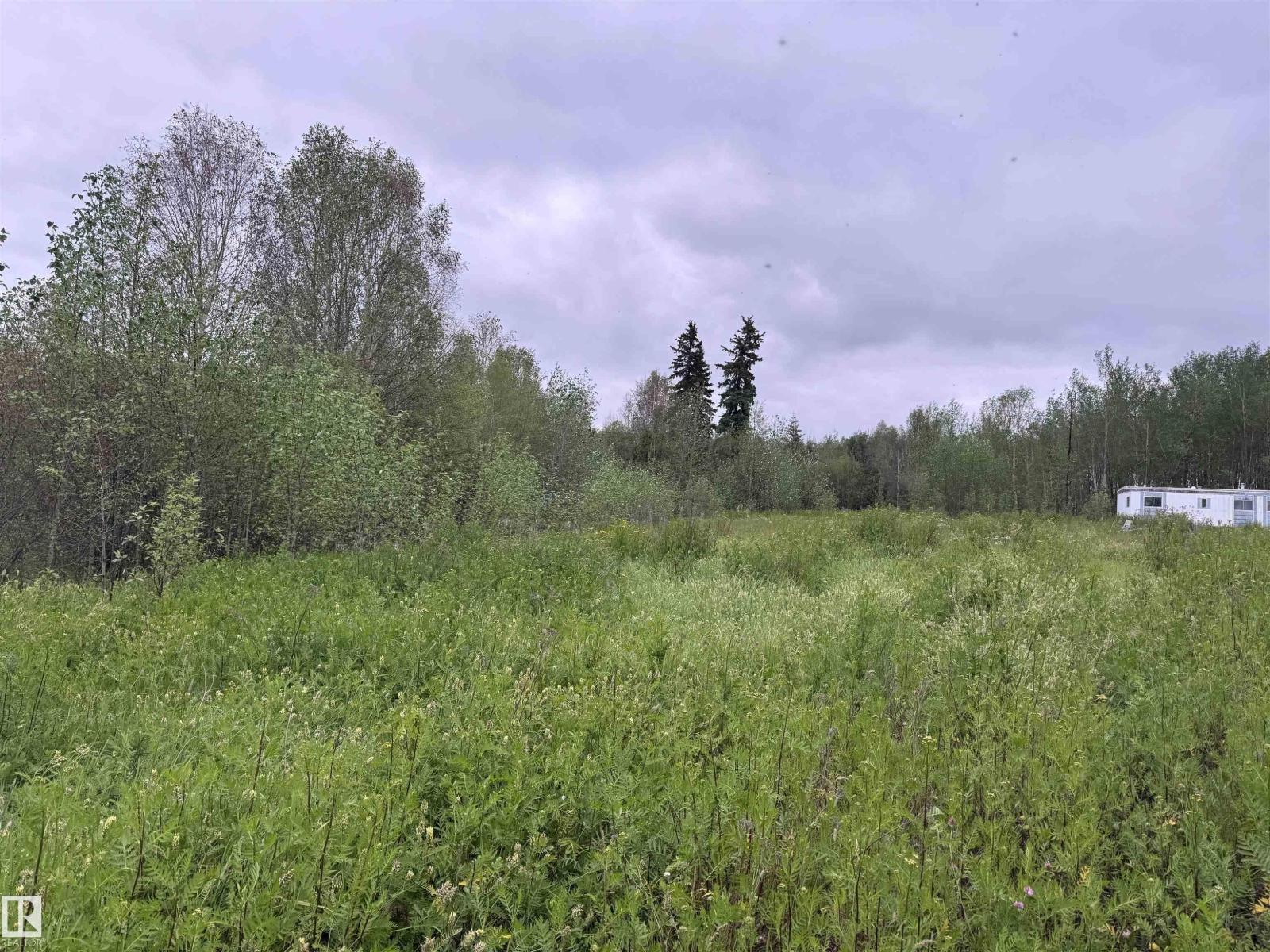 25418 Twp Rd 634a, Rural Westlock County, Alberta  T0G 0S0 - Photo 3 - E4499810