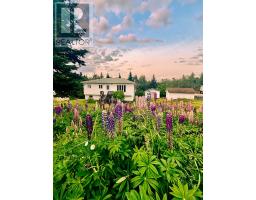 13 Otto's Road, Frederickton, Newfoundland & Labrador