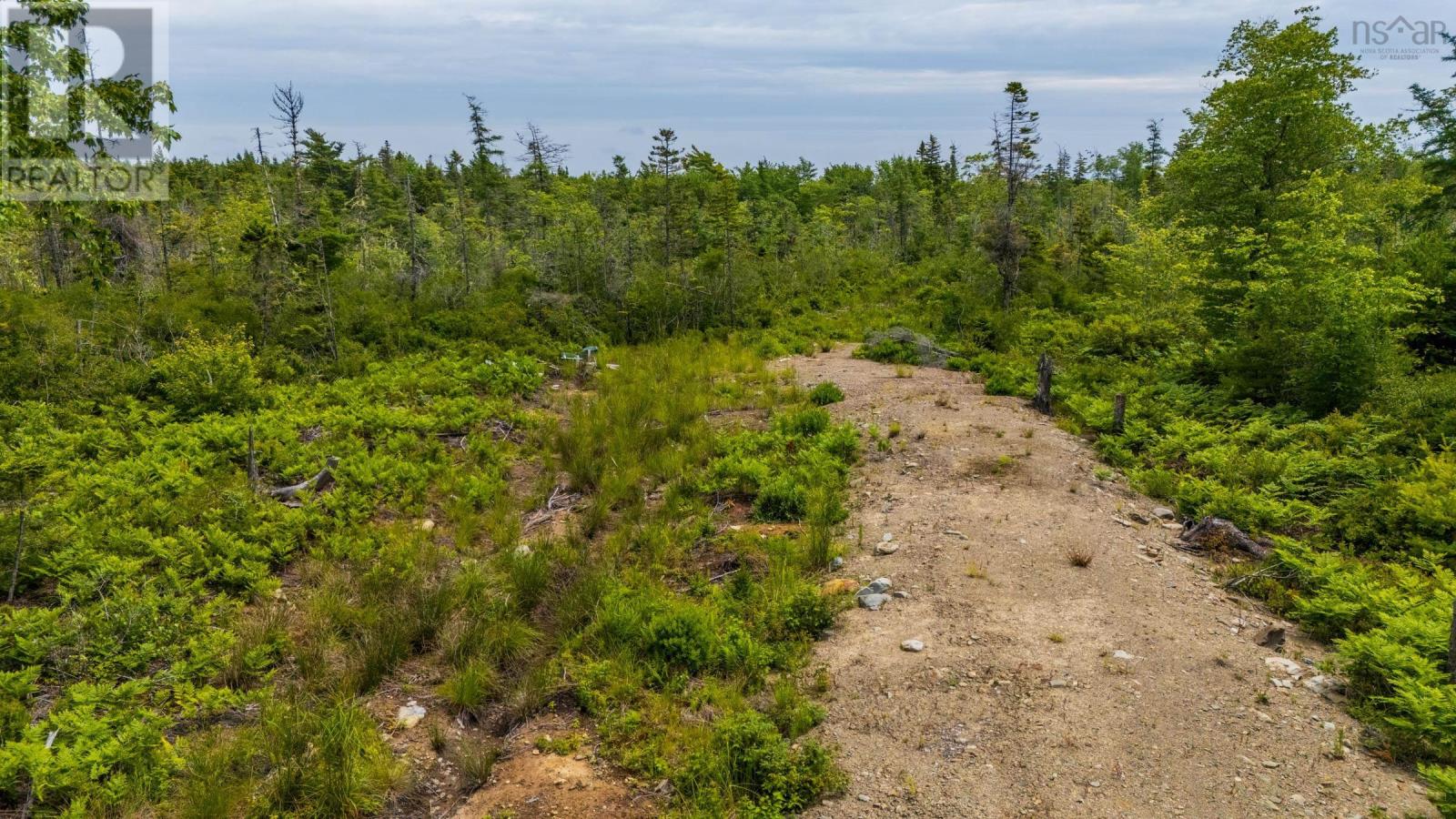 Lot East Concession Road, Lower Concession, Nova Scotia  B0W 1M0 - Photo 12 - 202618058